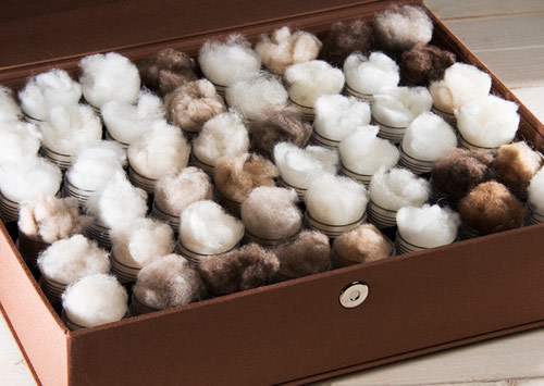 Cashmere Mislabelling Fraud