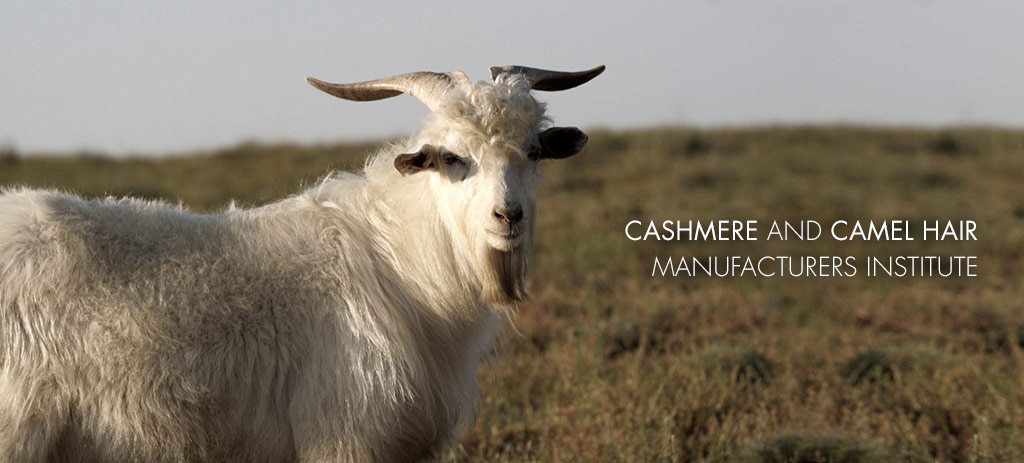Cashmere & Camel Hair Manufacturers